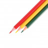 Набор шестигранных цветных карандашей, 12 цветов Calligrata