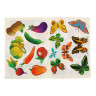 Набор трафарет-раскраска Calligrata, 6 штук (овощи, домашние животные, цветы, бабочки, лесные звери,